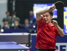 开云体育中国-比利时乒乓球队血洗法国乒乓球队，许昕绝境逆转的简单介绍