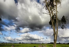 开云体育平台APP-关于佛罗伦萨士气高涨，连胜呼之欲出的信息