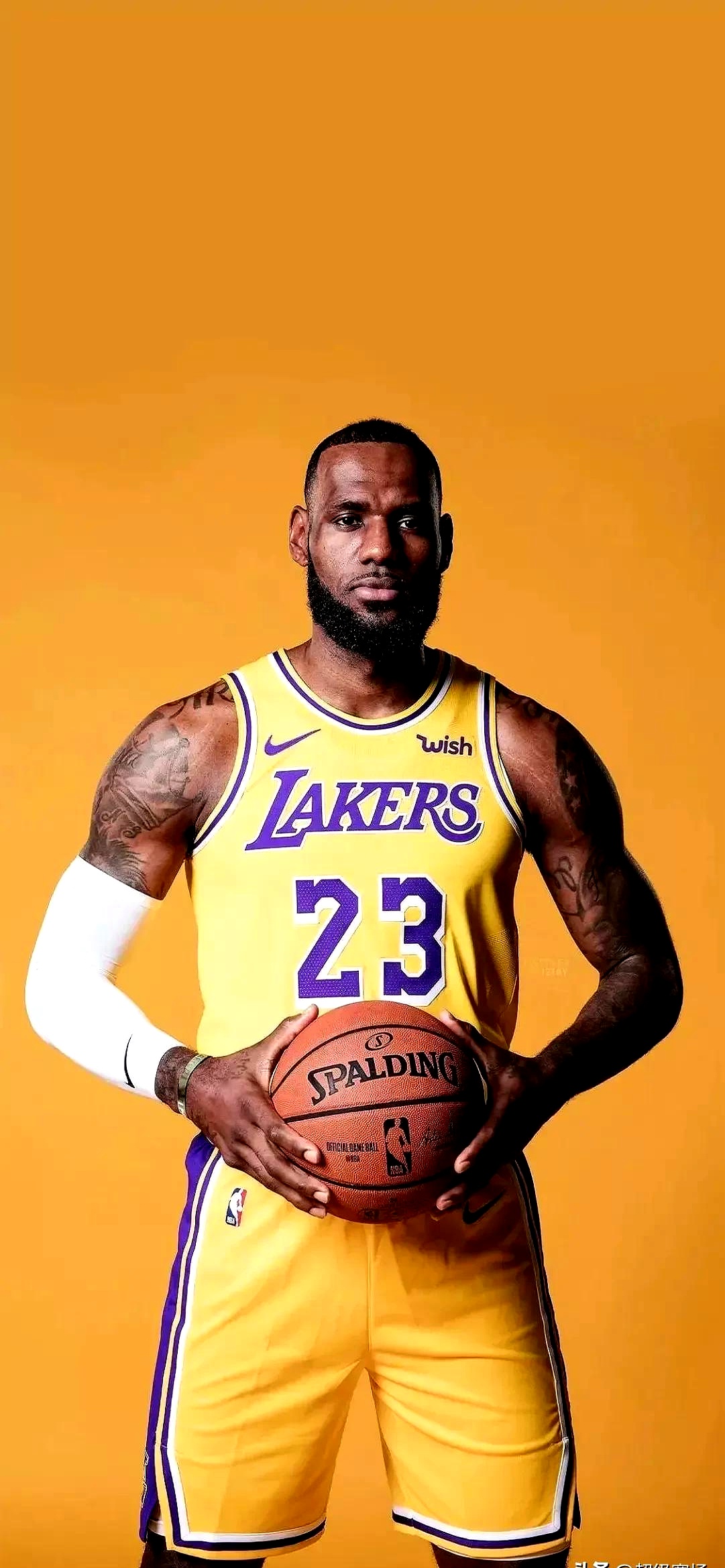 开云体育中国-湖人新秀表现抢眼,成为球队关键一环的简单介绍