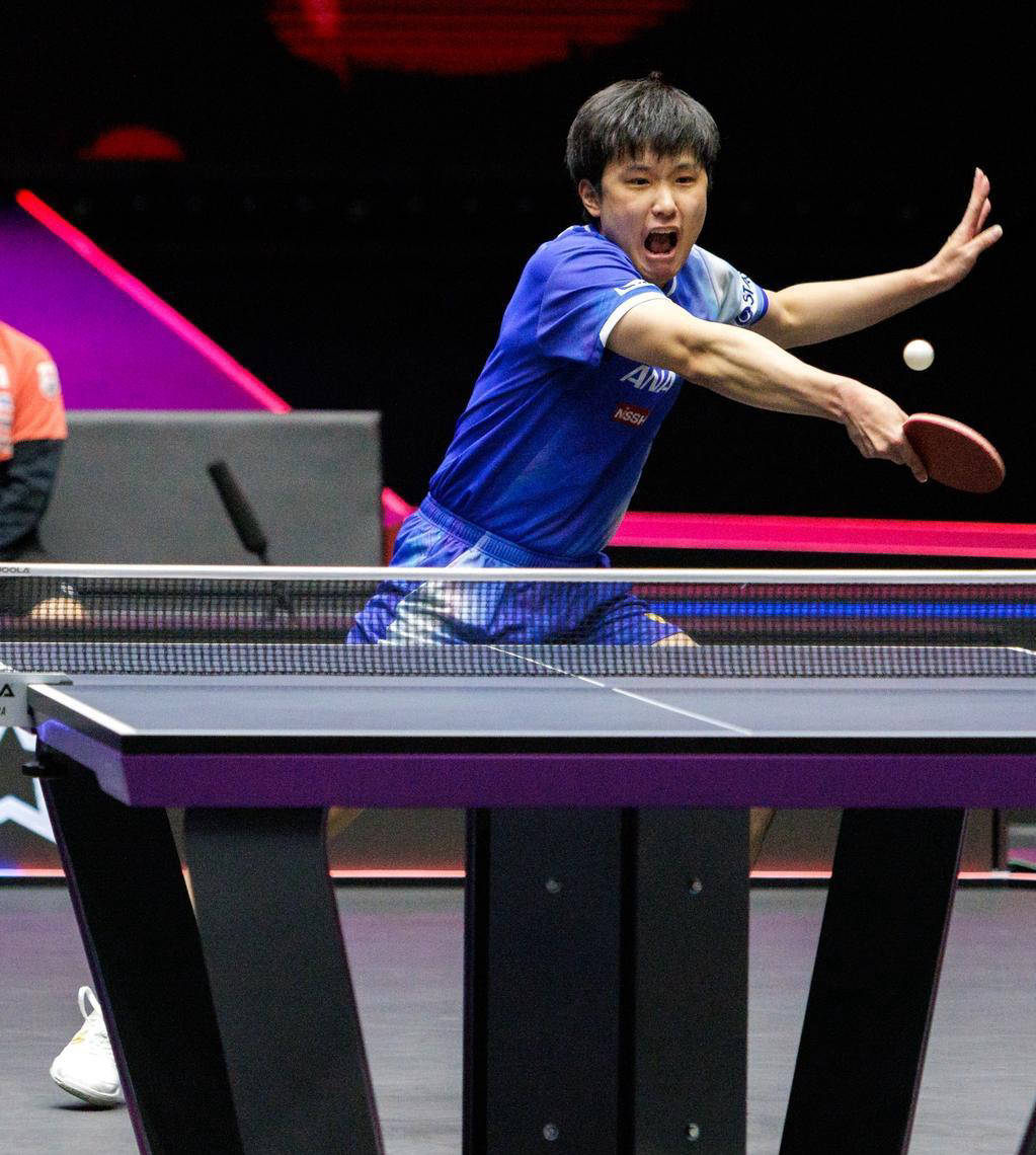 开云体育APP下载-瑞典队完胜日本队，张本智和关键制胜的简单介绍