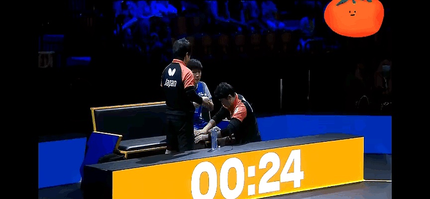 开云体育APP下载-瑞典队完胜日本队，张本智和关键制胜的简单介绍